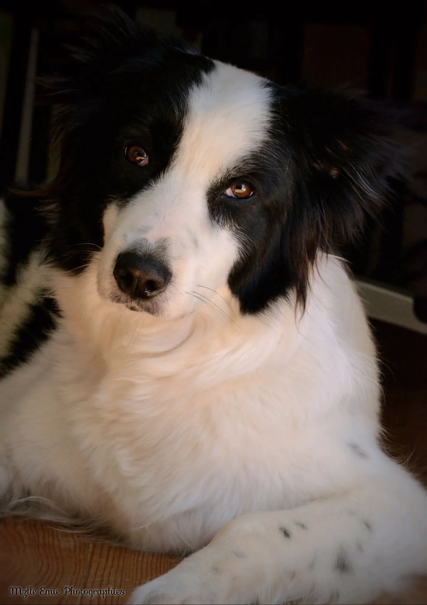 Naika qui prend la pose